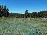 150 Forrest Service Road 124 - Photo 38