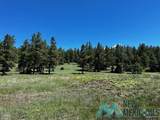 150 Forrest Service Road 124 - Photo 39