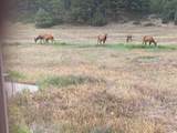 150 Forrest Service Road 124 - Photo 44