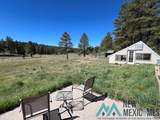 150 Forrest Service Road 124 - Photo 8