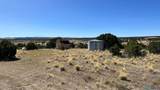 30 Cimarron Dr Road - Photo 39
