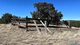 30 Cimarron Dr Road - Photo 45
