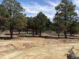 18 Bar S Trail - Photo 80