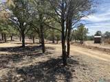 18 Bar S Trail - Photo 82
