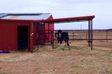 845 Roosevelt Rd S Road - Photo 37