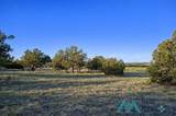 138 Deer Circle Road - Photo 34
