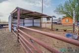 113 Dagger Road - Photo 35