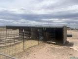 14006 Ciguena Sw - Photo 29