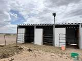 14006 Ciguena Sw - Photo 41