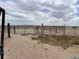 14006 Ciguena Sw - Photo 42