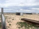 14006 Ciguena Sw - Photo 46