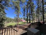 68 Forest Drive - Photo 29