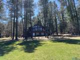 68 Forest Drive - Photo 36