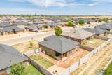 217 Almond Tree Lane - Photo 43