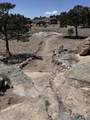 70 Bear Track Trail - Photo 17