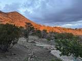 70 Bear Track Trail - Photo 42