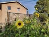 851 3rd Street - Photo 7