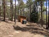 196 Ticonderoga Drive - Photo 30