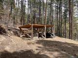 196 Ticonderoga Drive - Photo 35