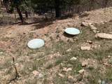 196 Ticonderoga Drive - Photo 40