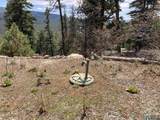 196 Ticonderoga Drive - Photo 41
