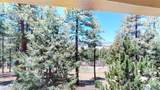 39 Altavista Dr - Photo 19