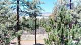 39 Altavista Dr - Photo 43