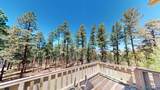 39 Altavista Dr - Photo 45