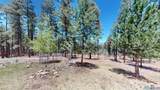 39 Altavista Dr - Photo 47
