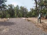 5 Sunrise Ct - Photo 38
