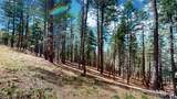 12 Camino Sur Drive - Photo 24