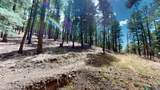 12 Camino Sur Drive - Photo 25