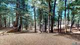 12 Camino Sur Drive - Photo 29