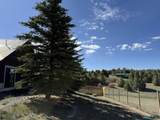 71 Elk Dr Drive - Photo 33