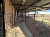 1091 Curry Road 6 - Photo 35