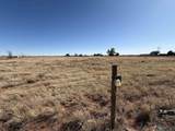 1091 Curry Road 6 - Photo 41