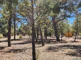 227 El Caso Rd Road - Photo 20