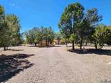 227 El Caso Rd Road - Photo 22