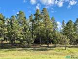 0 Pd 1788 Rd - Photo 11