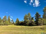 0 Pd 1788 Rd - Photo 5