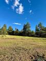 0 Pd 1788 Rd - Photo 6