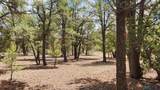 228 El Caso Rd. - Photo 39