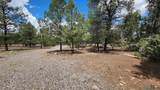 228 El Caso Rd. - Photo 42