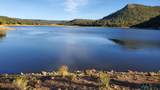 228 El Caso Rd. - Photo 49