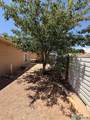 709 3RD St - Photo 47