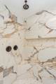 2516 Ferguson Rd - Photo 46