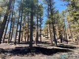 1045 Ctc Ranch Canyon - Photo 18