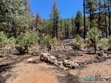 1045 Ctc Ranch Canyon - Photo 7