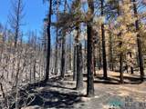 1045 Ctc Ranch Canyon - Photo 8