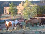  Pecos Valley Ranch - Photo 10